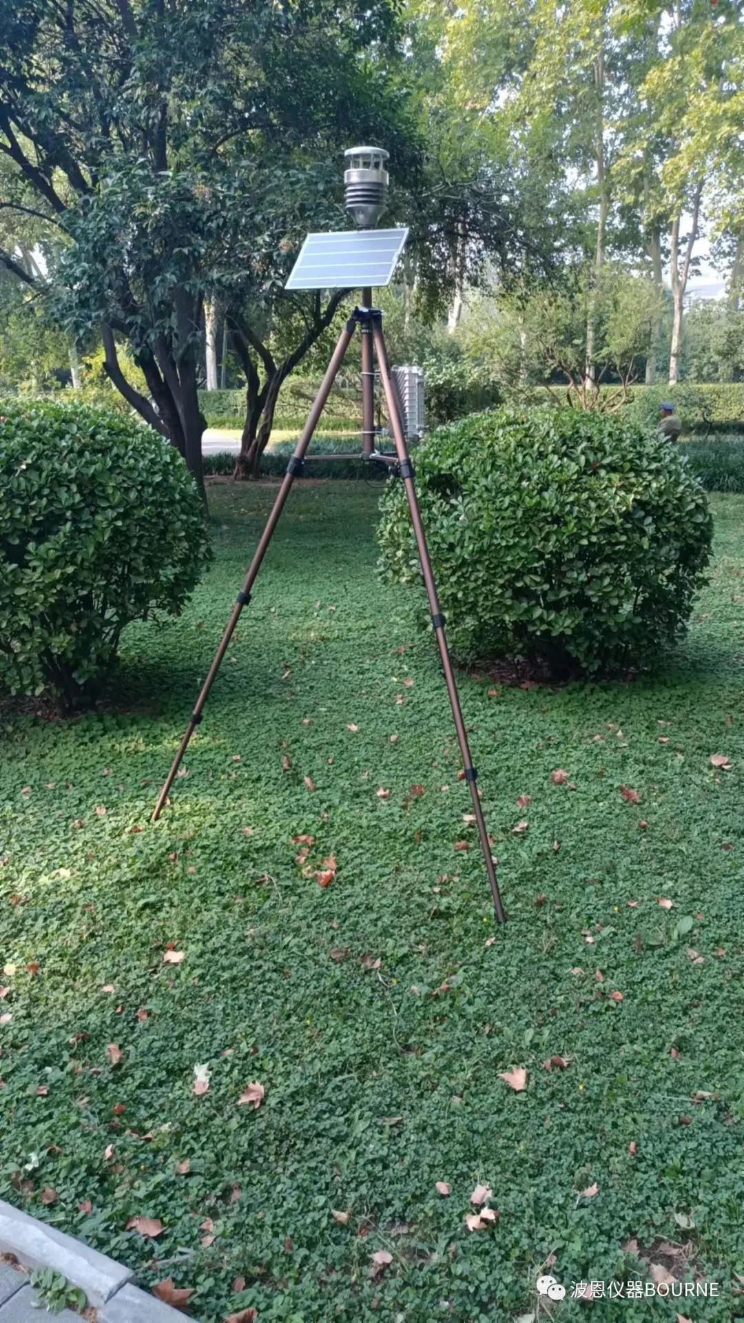 1703906134272615.jpg 2345_image_file_copy_42.jpg